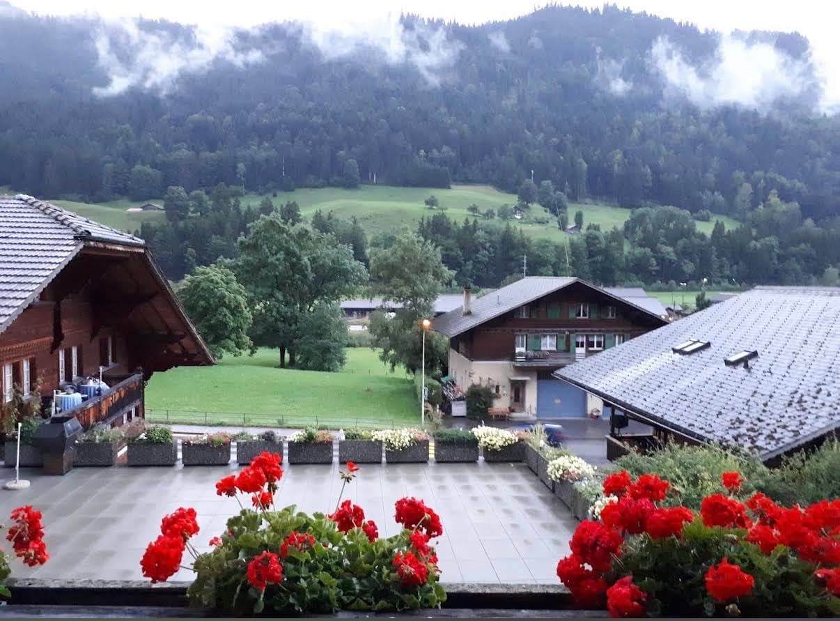 Red geraniums on a balcony overlooking chalet rooftops and a misty wooded hillside