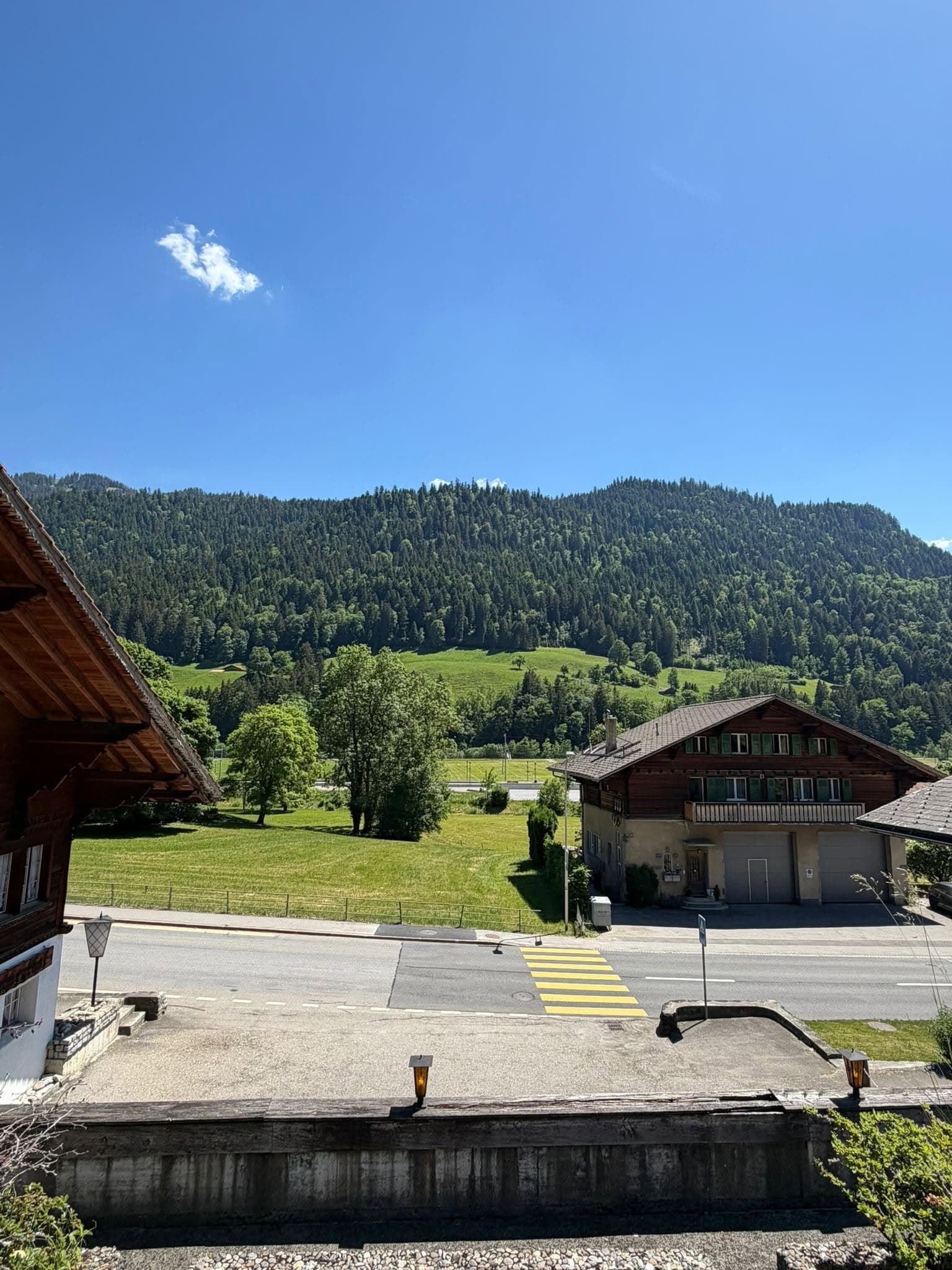 View across the village street to a timber chalet, green meadow and forested hillside